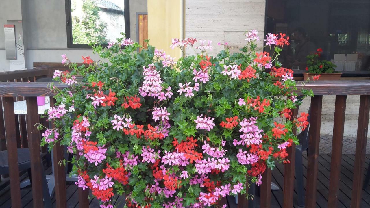 Albergo Ristorante Centro Vico Canavese Dış mekan fotoğraf