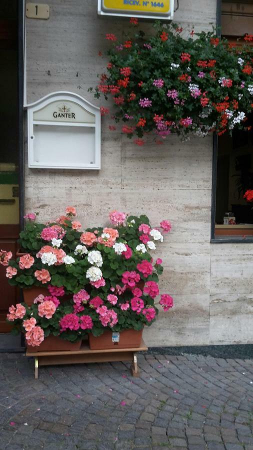 Albergo Ristorante Centro Vico Canavese Dış mekan fotoğraf